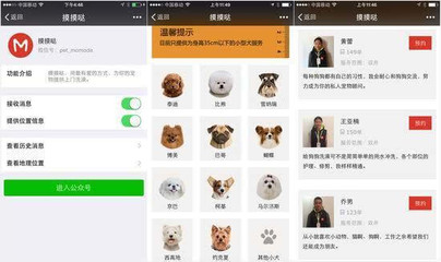 摸摸噠寵物O2O服務 從上門給汪星人洗澡開始，開啟寵物美容新時代