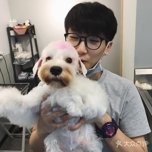 poppy 寵物美容工作室