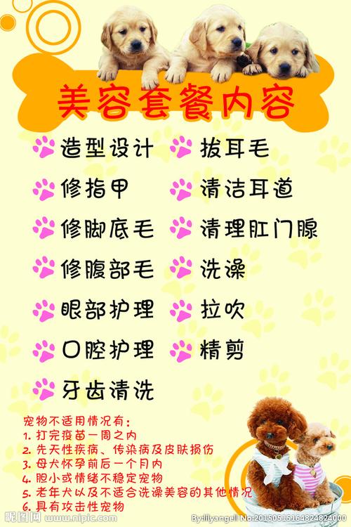 讓愛寵煥然一新 值得信賴的寵物美容服務全指南