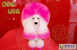 模特犬 Canine model 專業(yè)寵物美容挑染用-長(zhǎng)毛犬衣服_運(yùn)動(dòng)、休閑_世界工廠網(wǎng)中國(guó)產(chǎn)品信息庫(kù)